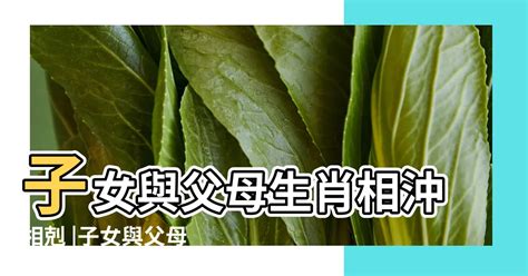 與父母相剋|八字如何看父母之間關係的好與壞？